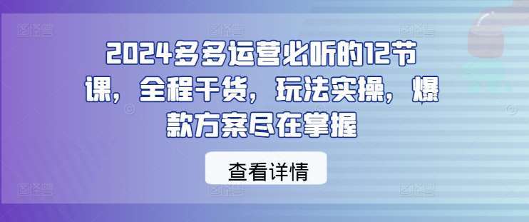 2024多多运营必听的12节课，全程干货，玩法实操，爆款方案尽在掌握插图