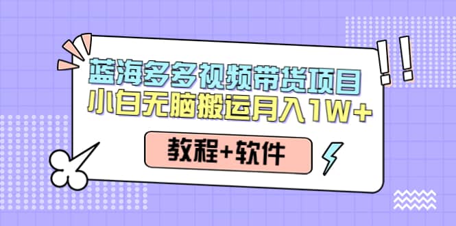 人人都能操作的蓝海多多视频带货项目 小白无脑搬运（教程+软件）插图