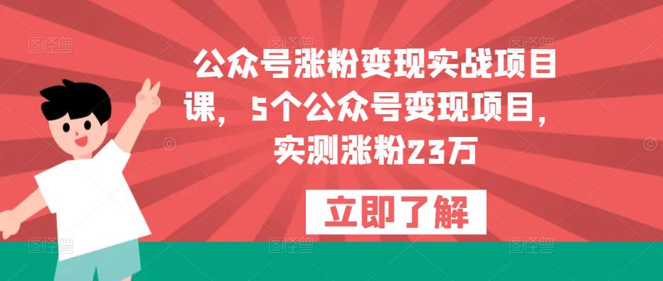 公众号涨粉变现实战项目课，5个公众号变现项目，实测涨粉23万插图