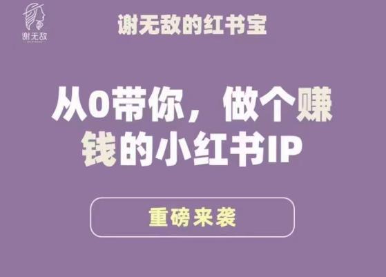 谢无敌·小红书运营大宝典，从0带你做个赚钱的小红书IP插图