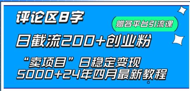 抖音评论区8字日截流200+创业粉 “卖项目”日稳定变现5000+【揭秘】插图