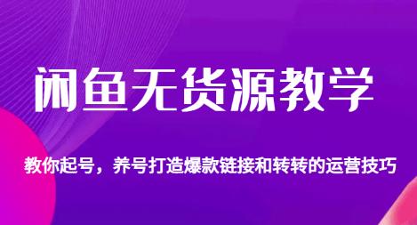 闲鱼无货源教学，教你起号，养号打造爆款链接以及转转的运营技巧插图