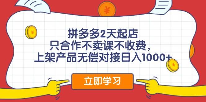 （12356期）拼多多0成本开店，只合作不卖课不收费，0成本尝试，日赚千元+插图