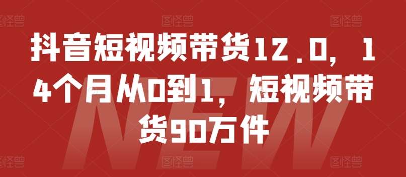 抖音短视频带货12.0，14个月从0到1，短视频带货90万件插图