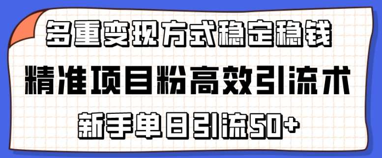 精准项目粉高效引流术，新手单日引流50+，多重变现方式稳定赚钱【揭秘】插图