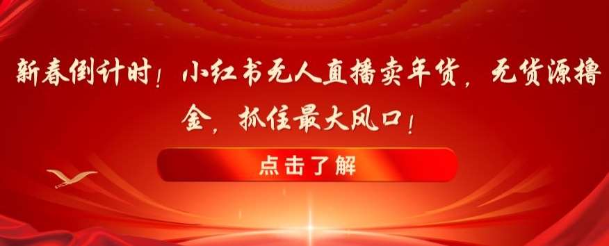 新春倒计时！小红书无人直播卖年货，无货源撸金，抓住最大风口【揭秘】插图