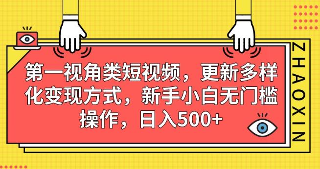 第一视角类短视频，更新多样化变现方式，新手小白无门槛操作，日入500+【揭秘】插图