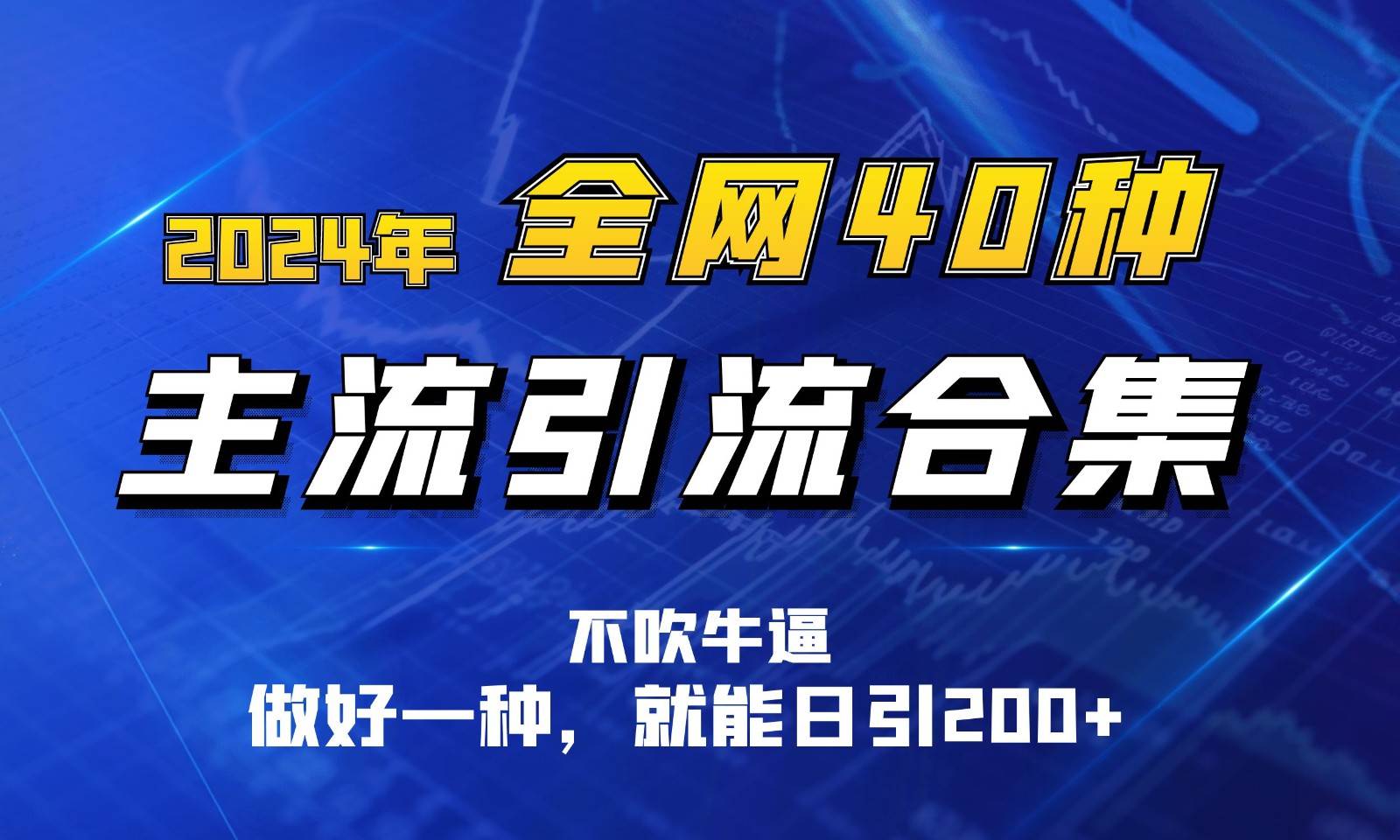 2024年全网40种暴力引流合计，做好一样就能日引100+插图