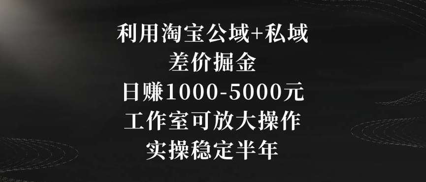 利用淘宝公域+私域差价掘金，日赚1000-5000元，工作室可放大操作，实操稳定半年【揭秘】插图