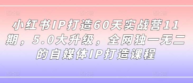 小红书IP打造60天实战营11期，5.0大升级，全网独一无二的自媒体IP打造课程插图