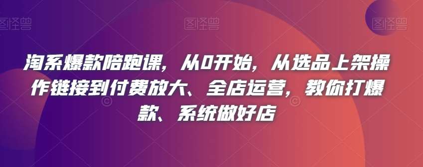 淘系爆款陪跑课，从0开始，从选品上架操作链接到付费放大、全店运营，教你打爆款、系统做好店插图