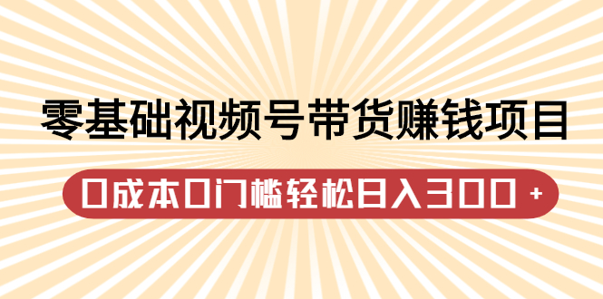 零基础视频号带货赚钱项目，0成本0门槛轻松日入300+【视频教程】插图