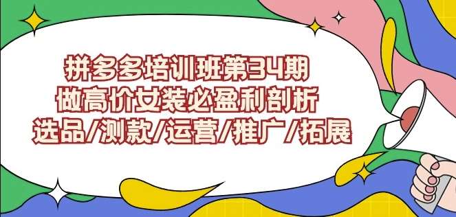 拼多多培训班第34期：做高价女装必盈利剖析选品/测款/运营/推广/拓展插图