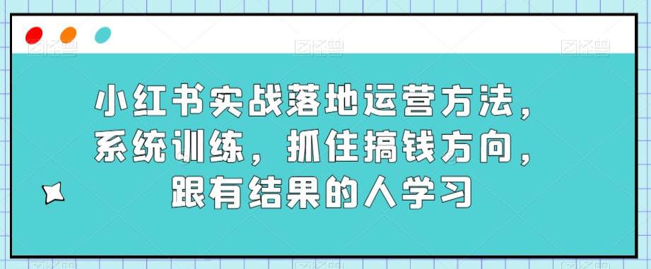 小红书实战落地运营方法，系统训练，抓住搞钱方向，跟有结果的人学习插图