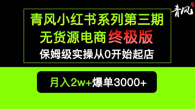 小红书无货源电商爆单终极版【视频教程+实战手册】保姆级实操从0起店爆单插图