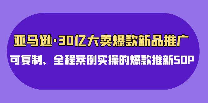 （9944期）亚马逊30亿·大卖爆款新品推广，可复制、全程案例实操的爆款推新SOP插图