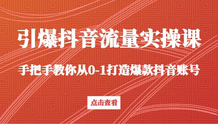 引爆抖音流量实操课，手把手教你从0-1打造爆款抖音账号（27节课）插图