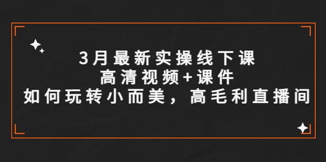 3月最新实操线下课高清视频+课件，如何玩转小而美，高毛利直播间插图