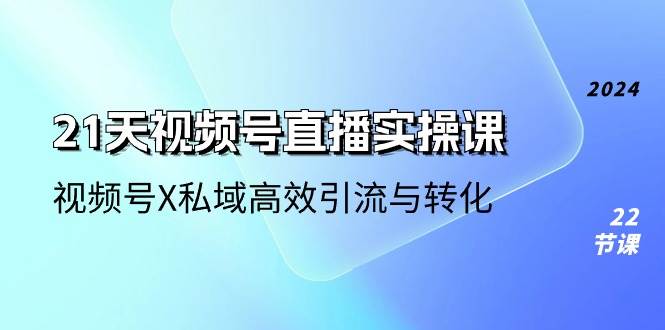 （10966期）21天-视频号直播实操课，视频号X私域高效引流与转化（22节课）插图