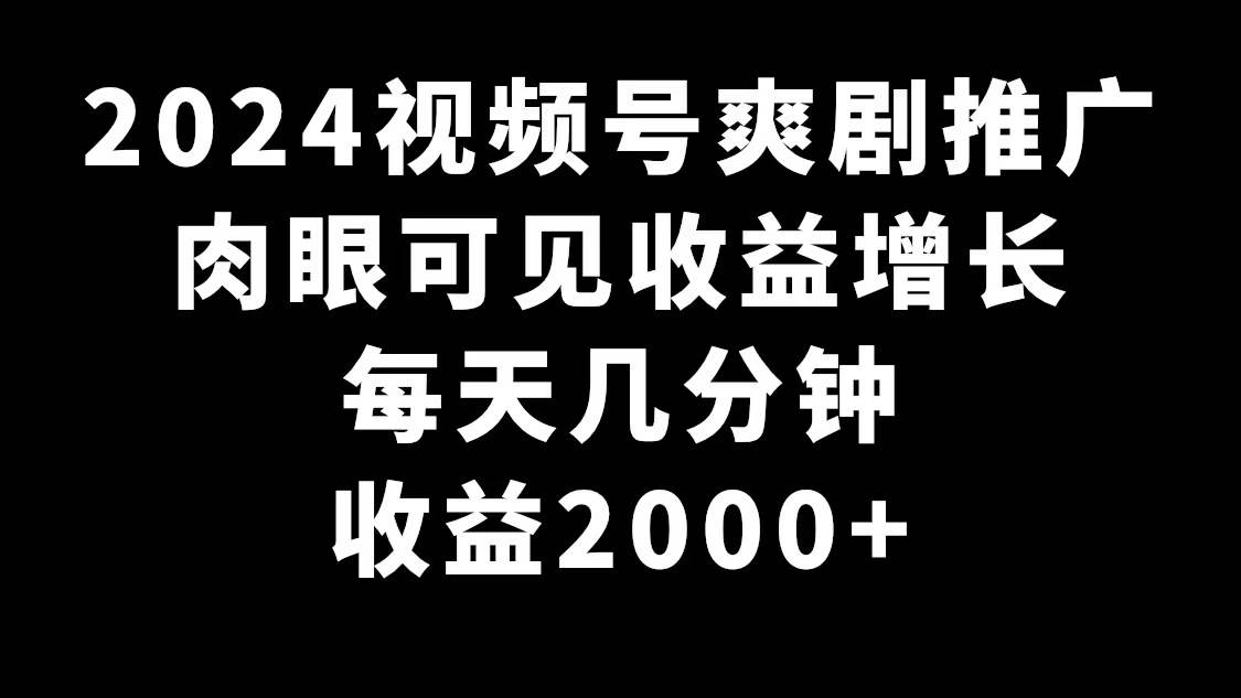 （9028期）2024视频号爽剧推广，肉眼可见的收益增长，每天几分钟收益2000+插图