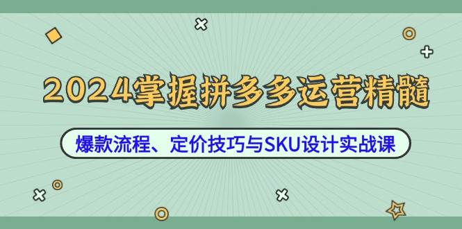 （12703期）2024掌握拼多多运营精髓：爆款流程、定价技巧与SKU设计实战课插图