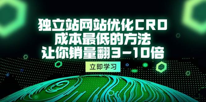 （10173期）独立站网站优化CRO，成本最低的方法，让你销量翻3-10倍（5节课）插图