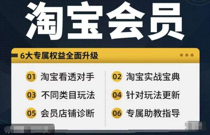 淘宝会员【淘宝所有课程，全面分析对手】，初级到高手全系实战宝典插图