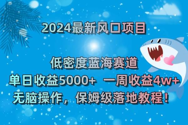 （8545期）2024最新风口项目 低密度蓝海赛道，日收益5000+周收益4w+ 无脑操作，保…插图