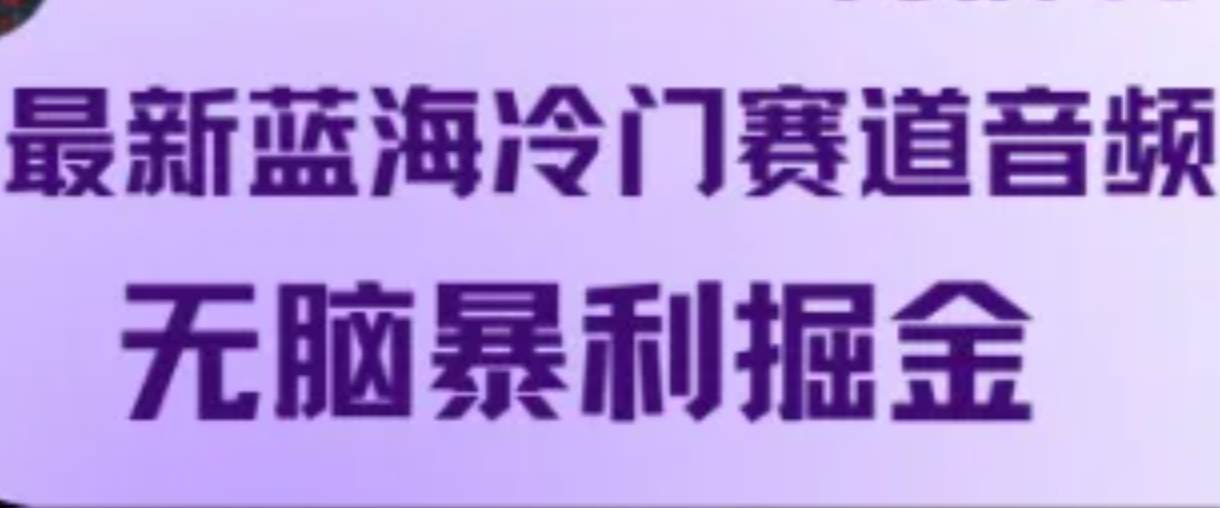 最新蓝海冷门赛道音频，无脑暴利掘金插图