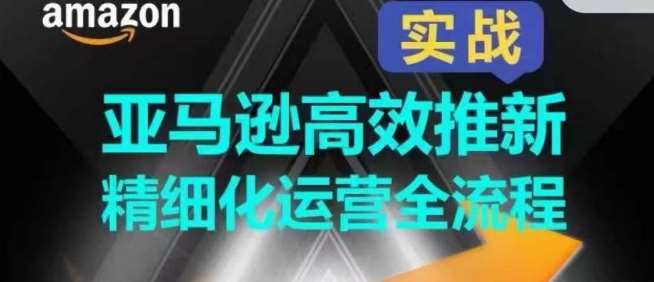 亚马逊高效推新精细化运营全流程，全方位、快速拉升产品排名和销量!插图