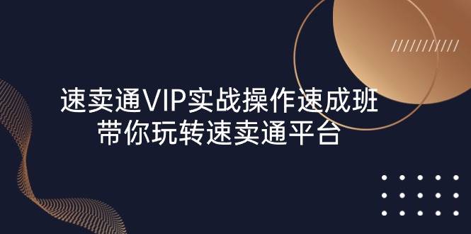 （10935期）速卖通 VIP实战操作-速成班，带你玩转速卖通平台（23节）插图