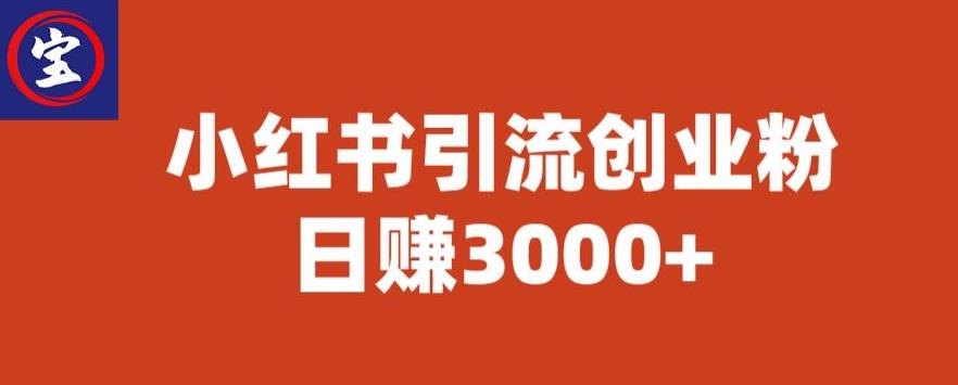 宝哥小红书引流创业粉，日赚3000+【揭秘】插图