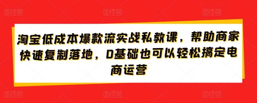 淘宝低成本爆款流实战私教课，帮助商家快速复制落地，0基础也可以轻松搞定电商运营插图