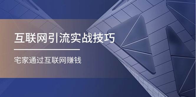 （11108期）互联网引流实操技巧(适合微商，吸引宝妈)，宅家通过互联网赚钱（17节）插图