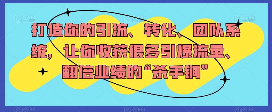 打造你的引流、转化、团队系统，让你收获很多引爆流量、翻倍业绩的“杀手锏”插图