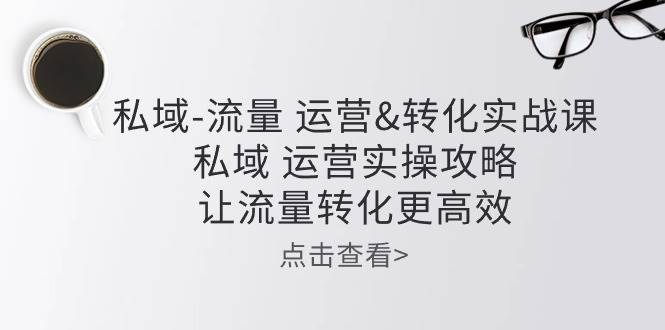 （10739期）私域-流量 运营&转化实操课：私域 运营实操攻略 让流量转化更高效插图