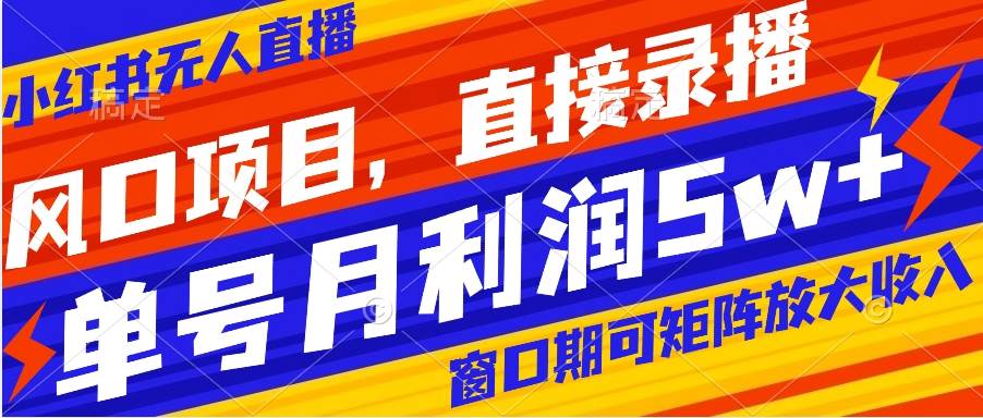 （8196期）风口项目，小红书无人直播带货，直接录播，可矩阵，月入5w+插图