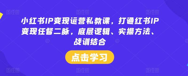 小红书IP变现运营私教课，打通红书IP变现任督二脉，底层逻辑、实操方法、战训结合插图