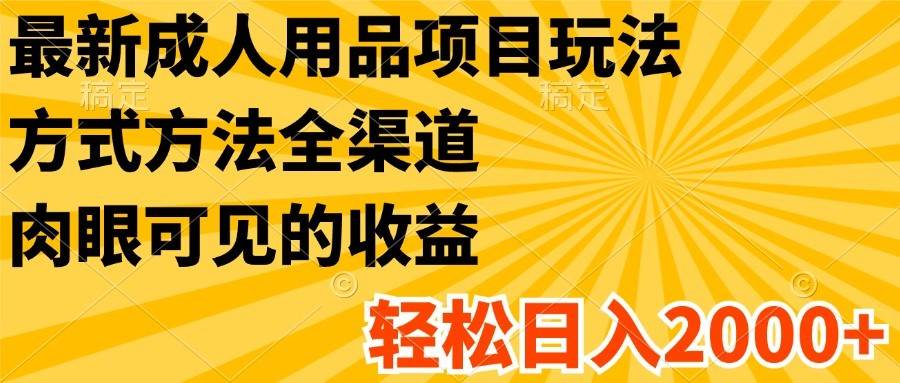 最新成人用品项目玩法，方式方法全渠道，肉眼可见的收益，轻松日入2000+插图