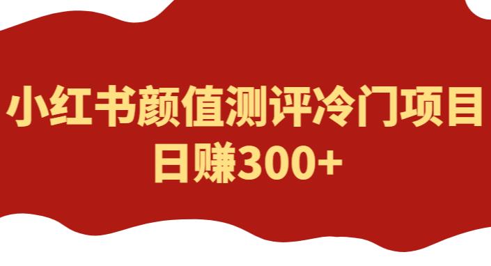 外面1980的项目，小红书颜值测评冷门项目，日赚300+【揭秘】插图