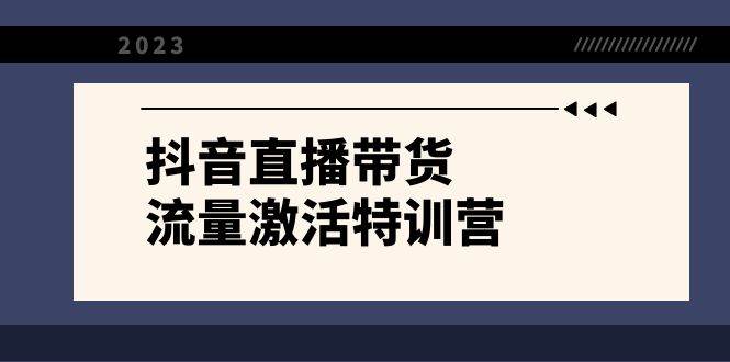 （8185期）抖音直播带货-流量激活特训营，入行新手小白主播必学（21节课+资料）插图