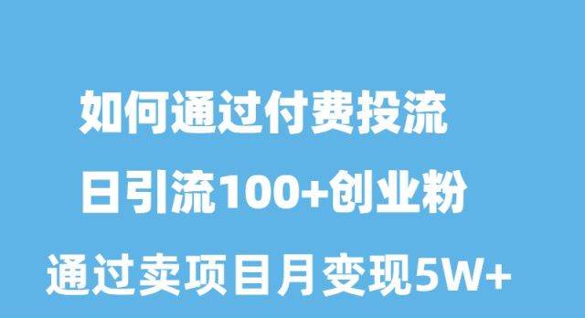 （10189期）如何通过付费投流日引流100+创业粉月变现5W+插图