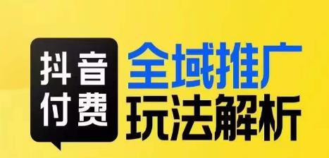 抖音付费全域推广玩法解析，抓住平台红利，小付费撬动大流量插图