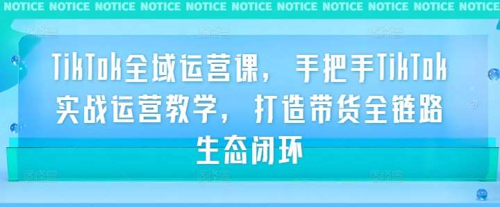 TikTok全域运营课，手把手TikTok实战运营教学，打造带货全链路生态闭环插图