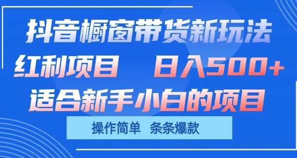 抖音橱窗带货新玩法，单日收益几张，操作简单，条条爆款【揭秘】插图