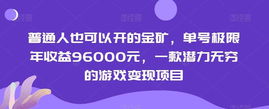 普通人也可以开的金矿，单号极限年收益96000元，一款潜力无穷的游戏变现项目【揭秘】插图