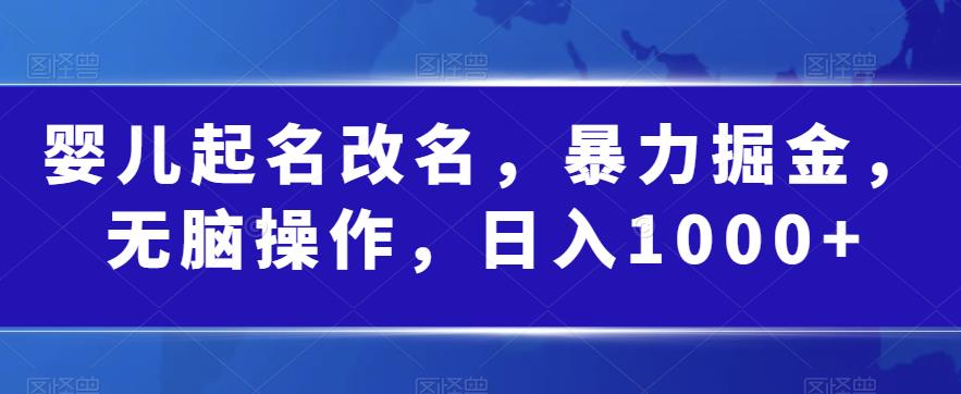 婴儿起名改名，暴力掘金，无脑操作，日入1000+【揭秘】插图