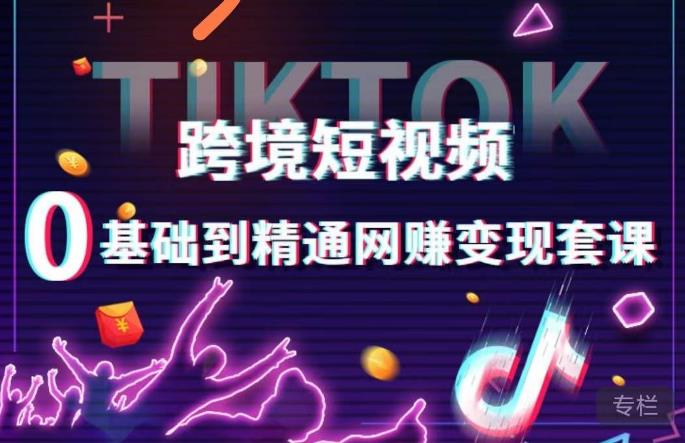 跨境短视频TIKTOK 0基础到精通网赚变现套课，跨境短视频独立站带货变现技巧插图