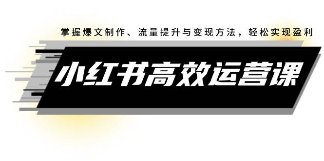 （12369期）小红书高效运营课：掌握爆文制作、流量提升与变现方法，轻松实现盈利插图