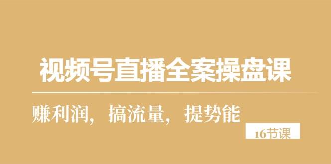 （10207期）视频号直播全案操盘课，赚利润，搞流量，提势能（16节课）插图